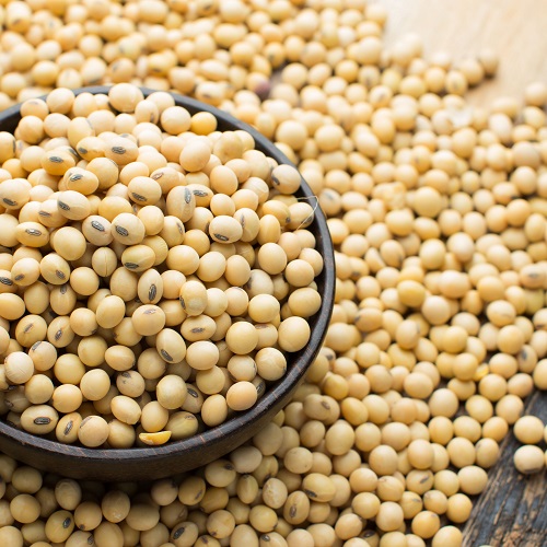 Buy Wholesale Iranian Soybeans in Nigeria;Wholesale Price, Supplier & Import Regulations (2025)